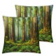 Ulloord  Throw Pillow Covers Redwood Trees Woods Cushion Cases Home Office Sofa Hidden Zipper Pillowcase Square  Two Sides Printed