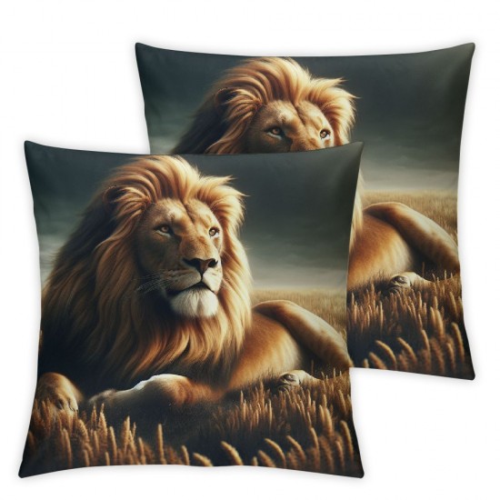 Ulloord Throw Pillow Cover Walking Cushion Case Home Office Sofa Hidden Zipper Pillowcase Square Two Sides Printed