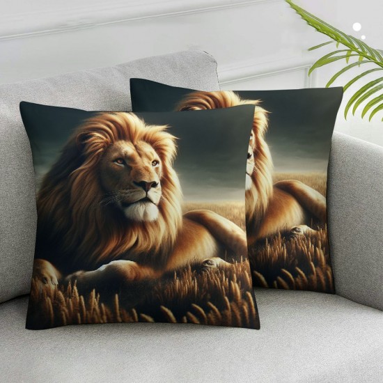 Ulloord Throw Pillow Cover Walking Cushion Case Home Office Sofa Hidden Zipper Pillowcase Square Two Sides Printed