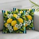 Ulloord Pillow Covers  Decorative Lemon Blue Stripes Throw Pillow Covers Cushion Case for Sofa Bench Living Room Indoor Outdoor Home Decor