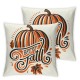 Ulloord  Emotion Happy Fall Pumpkin Halloween Throw Pillow Cover Farmhouse Autumn Cushion Case for Sofa Couch