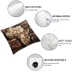 Ulloord  Brown Wooden Map Africa Throw Pillow Covers, Decorative Pillow Covers Digital Printing Blended Fabric for Couch Sofa Bed Invisible Zipper