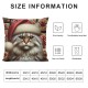 Ulloord Hopyeer Merry Christmas Animals Home Sofa Couch Decoration Throw Pillow Covers Vintage Style Xmas Cute Cat in The Santa Hat Pillowcase  Cushion Cove  (CA-Cat)