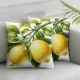 Ulloord Yellow Lemons Decorative Pillow Covers Super Soft Cushion Cover Nice Gift Indoor Outdoor Home Decor Pillowcase