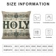 Christmas Pillow Covers Have Christmas with Christmas Winter Holiday Home Décor n Cushion Case